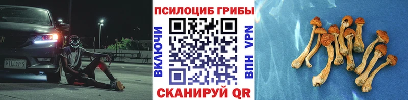 наркотики  Елец  Галлюциногенные грибы MAGIC MUSHROOMS 